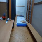IMG_20250531_142435